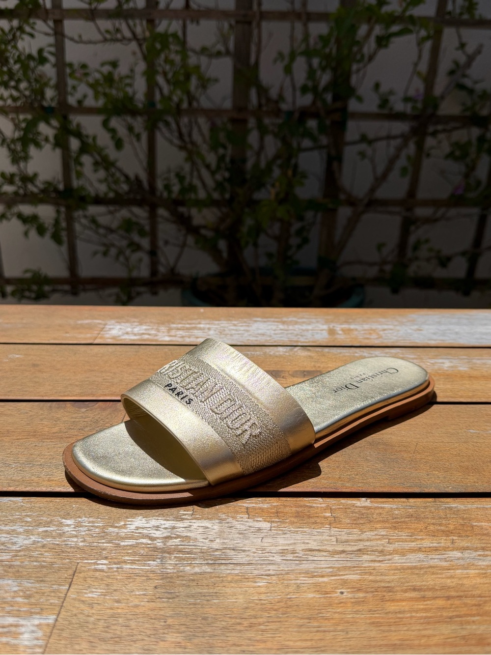 CHRISTIAN DIOR gold slides